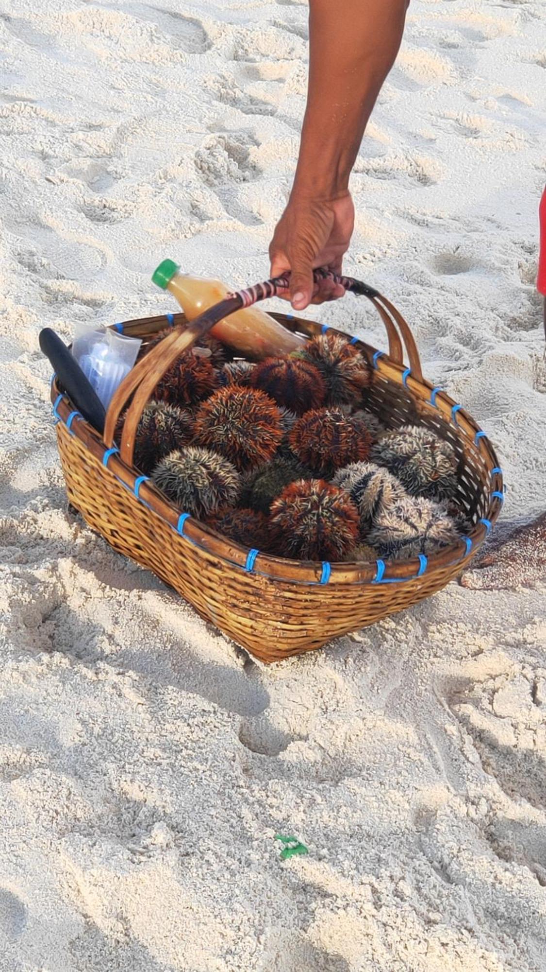 Lacasita 2Bd Vacation Home With Starlink Catarman  エクステリア 写真